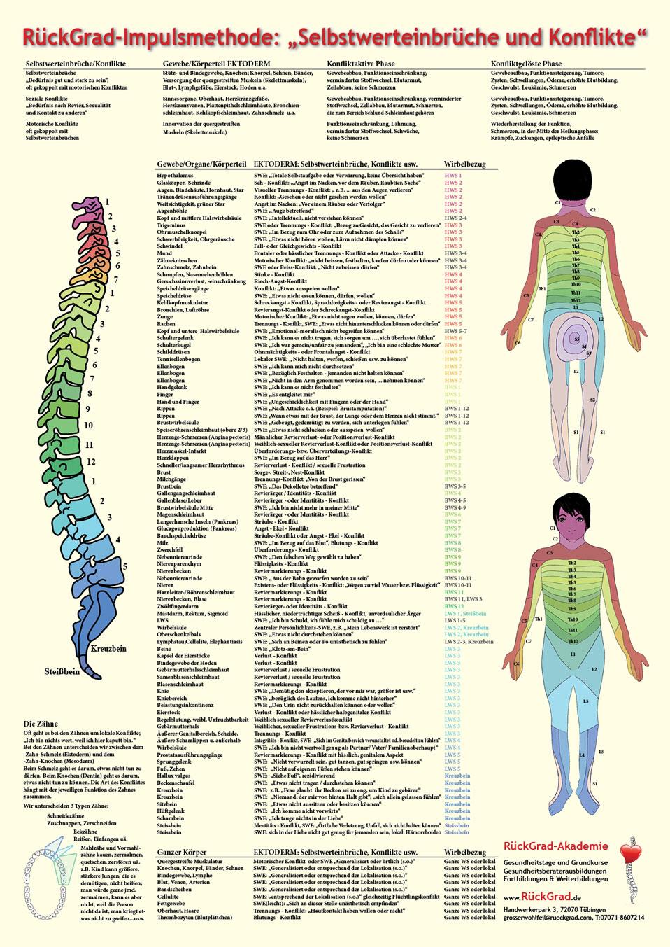 Poster: Selbstwerteinbrüche und Konflikte - EKTODERM
