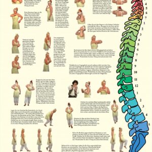 Poster Dorn - Eigenübungen