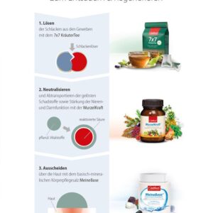 Jentschura Basenkur Wirkungsweise