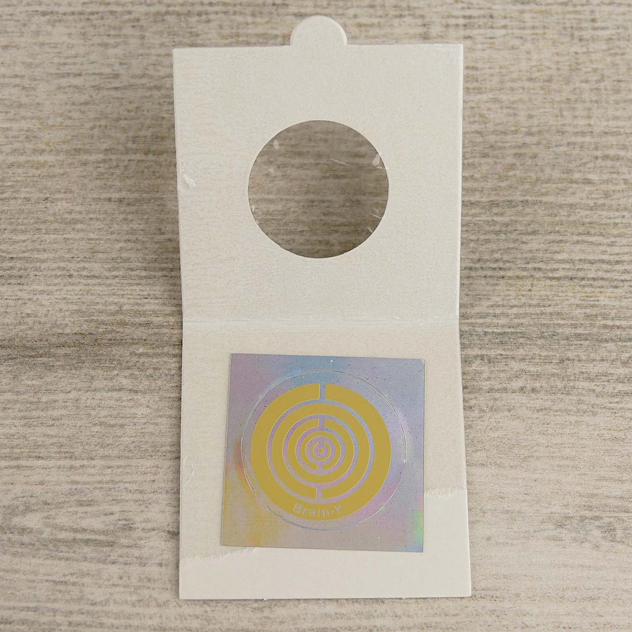 BioPhysio BrainyChip in Falthülle-1