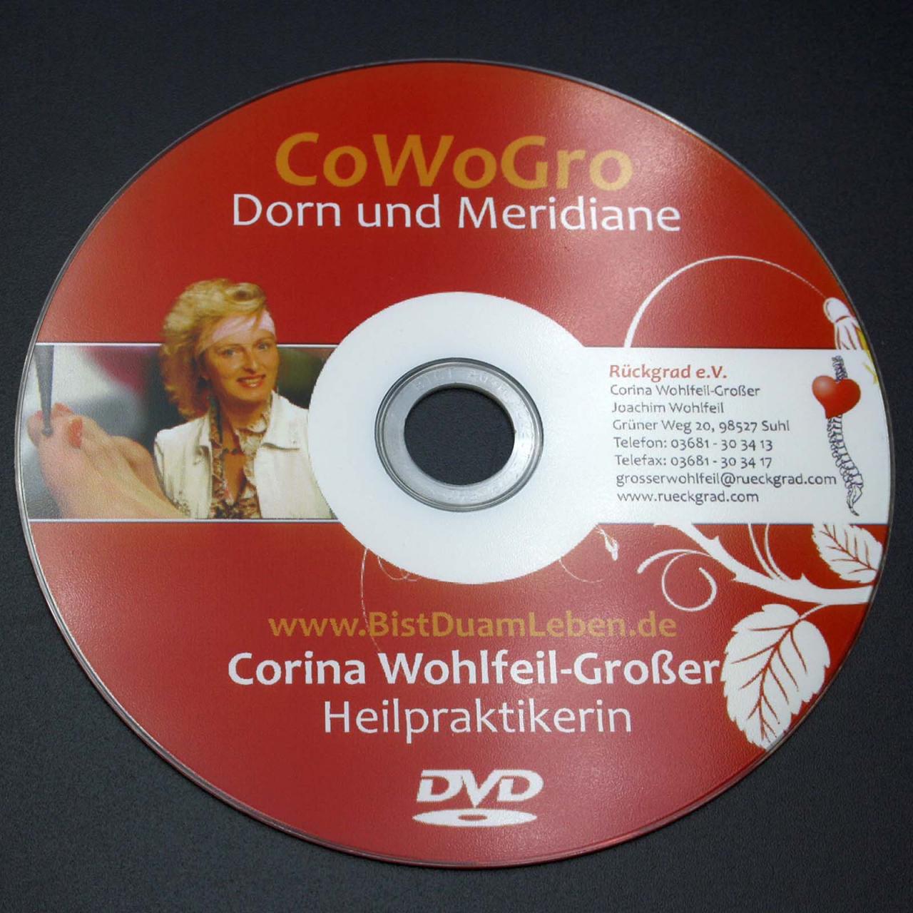 DVD Dorn und Meridiane