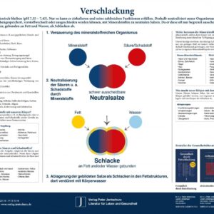 Verschlackung Poster Jentschura Vorderseite