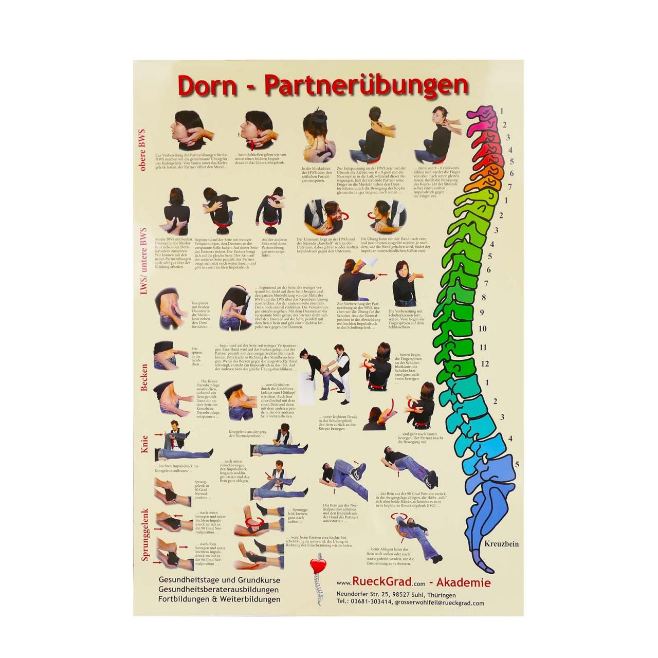 Poster Dorn - Partnerübungen A2 Plakat