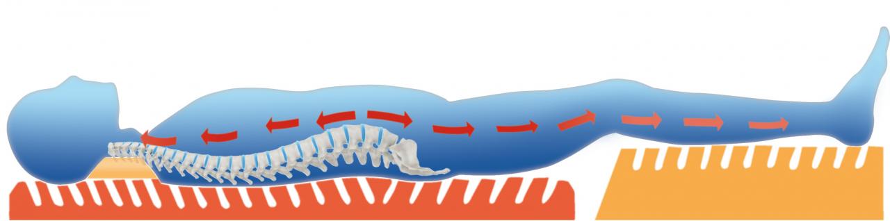 Wohlima T3 -Dreiteiliges Therapie-/ Traktionssystem