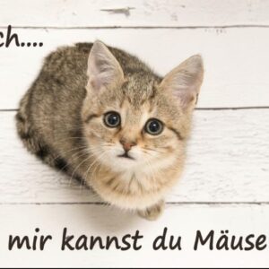 Beilage Gutschein Winter